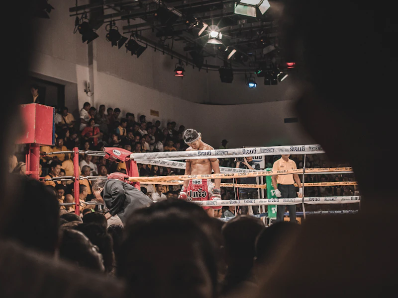 메이플 뉴비직업 추천