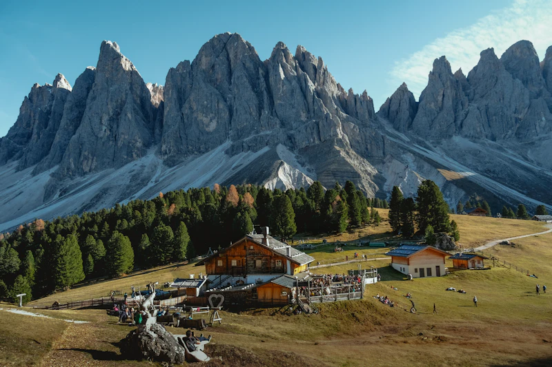 게임 점유율 2026