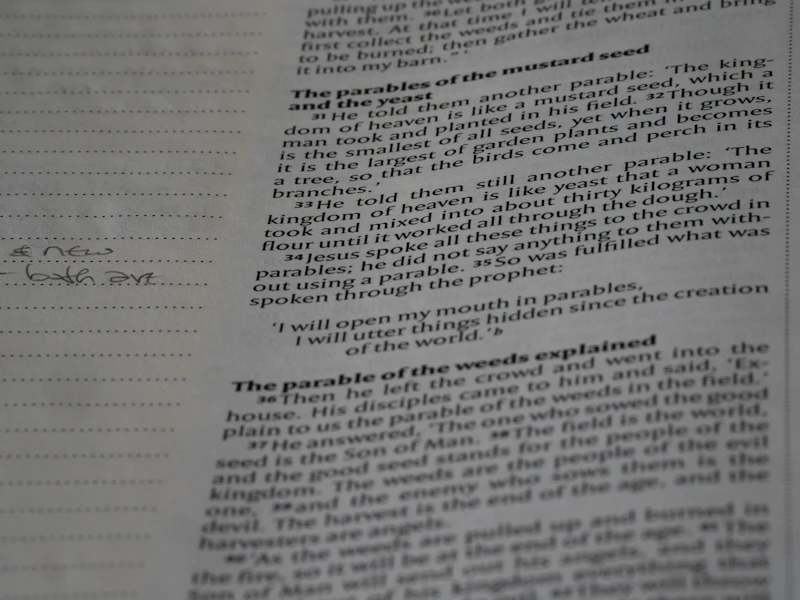 무협웹소설 등급표