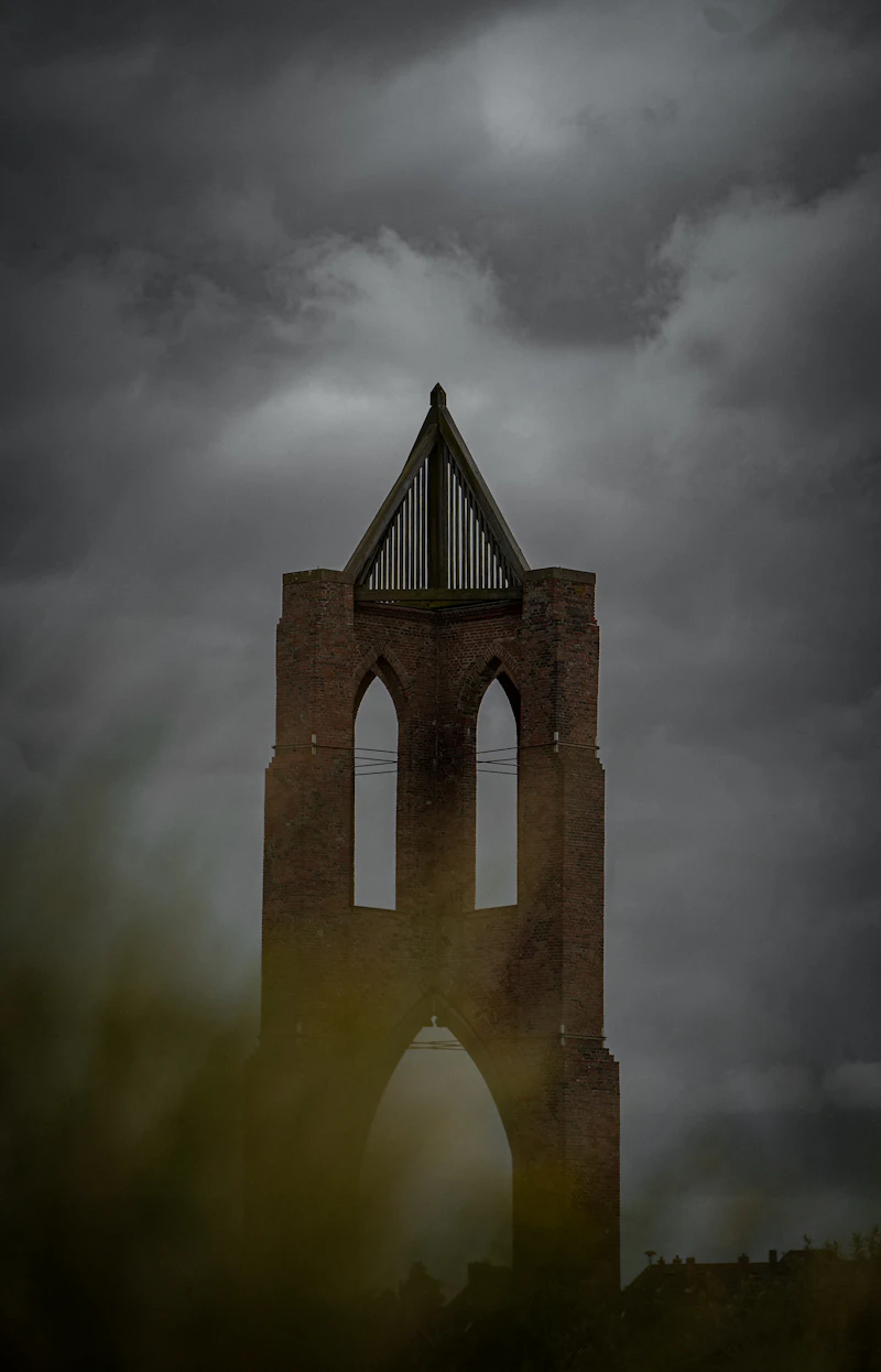 북 토끼 소설 추천 TOP 꿀템! 서책광이 추천하는 필독 보석들