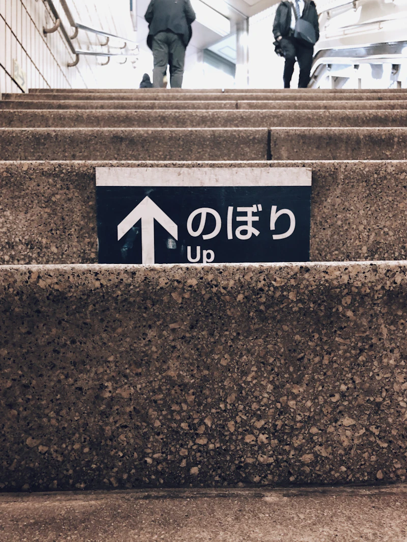 골드시티 도메인