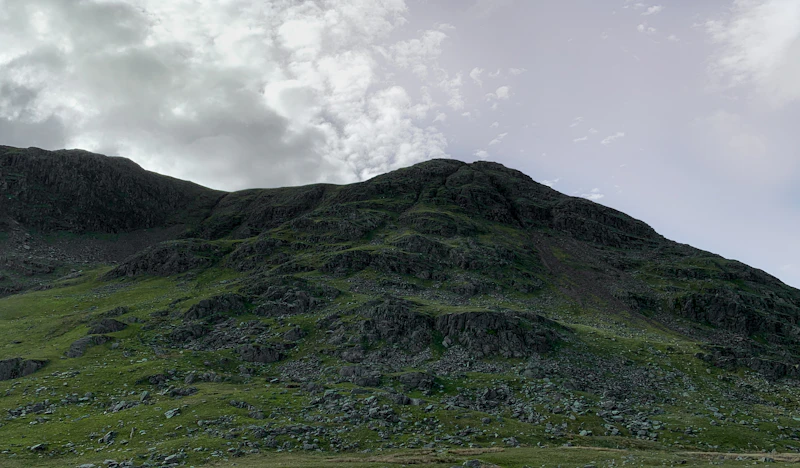 모바일 게임 출시예정