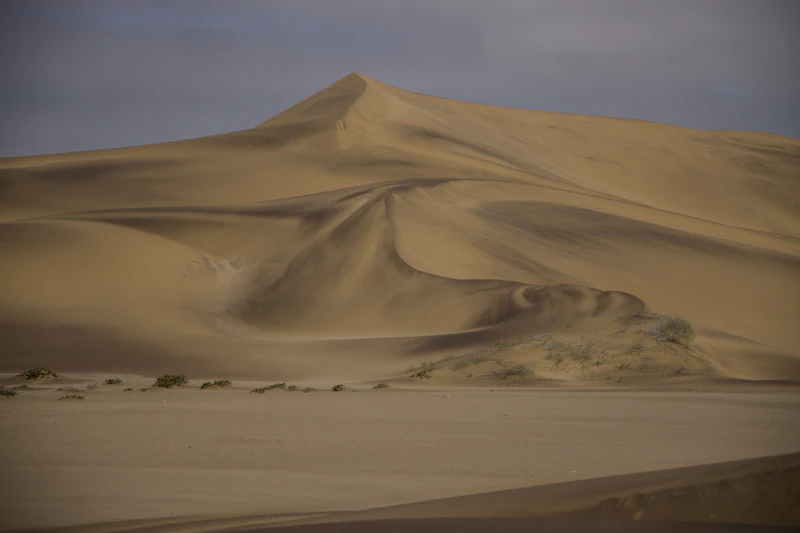 pc mmorpg 출시 예정