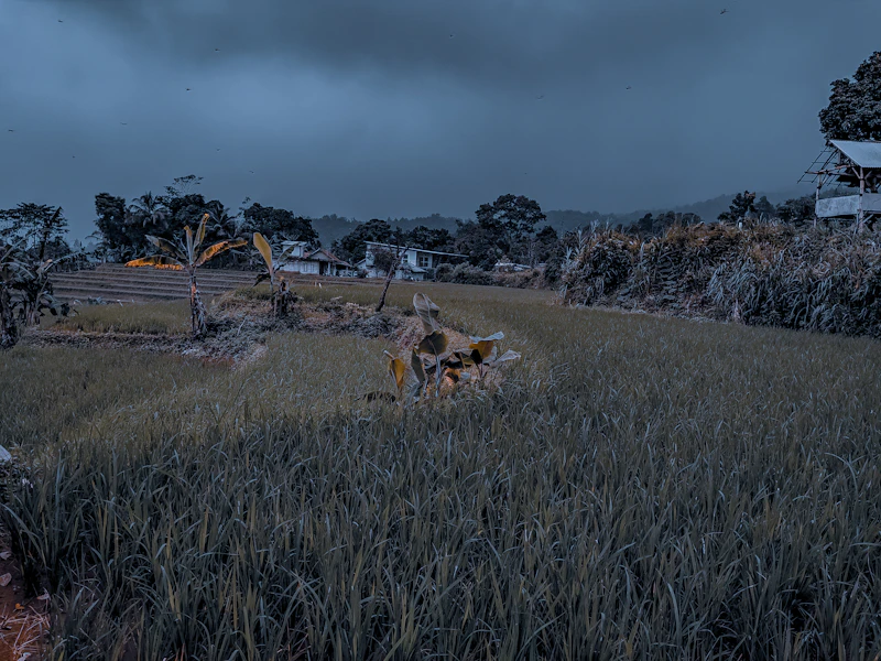 던파 직업 딜 순위