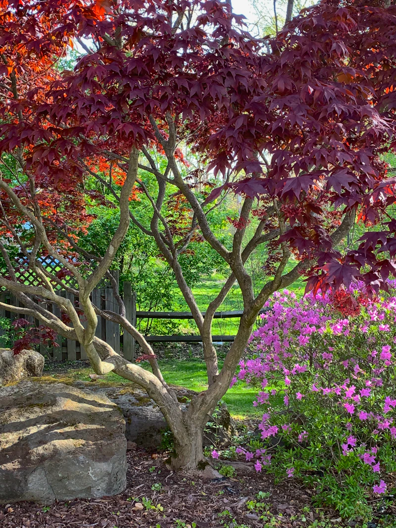 북 토끼 소설 추천