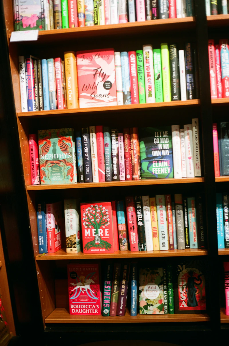 북 토끼 소설 추천