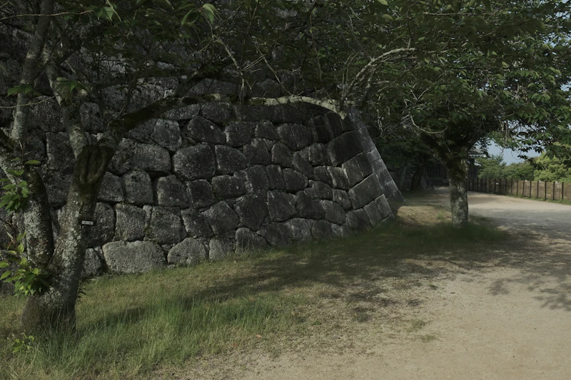 남성향 연애 시뮬레이션 게임