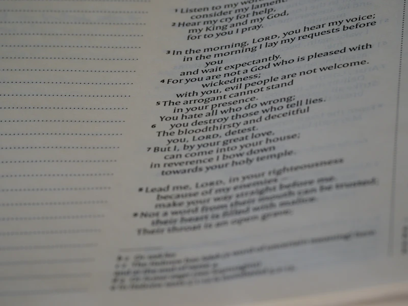 메이플 600 족 표