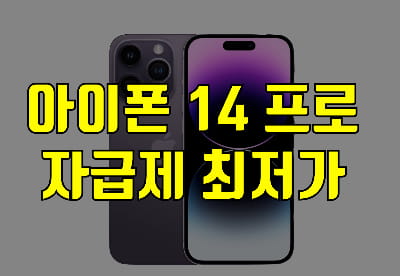 아이폰14PRO
